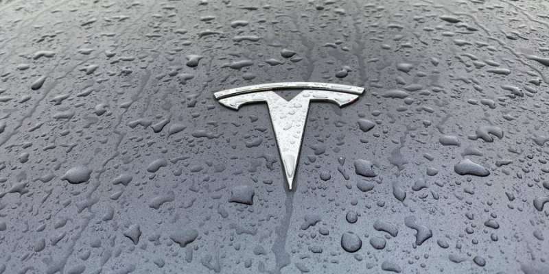 На німецькому заводі. Tesla виготовлятиме машини вартістю 25 000 євро