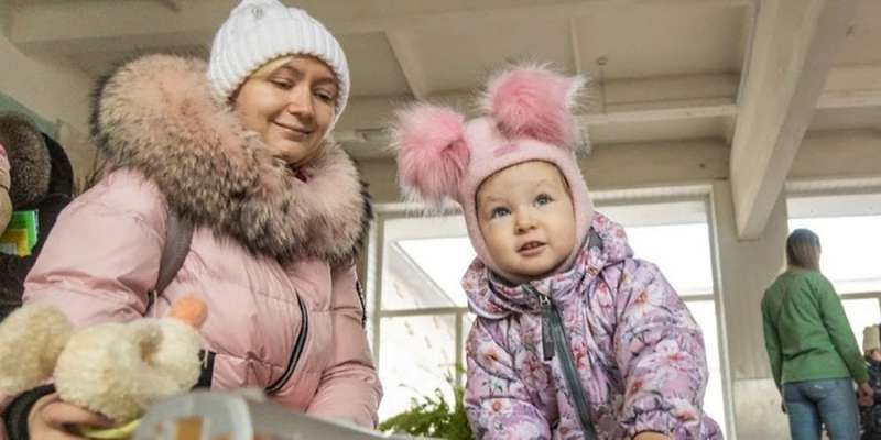 ВПО-2023: скільки переселенців живе тільки на соцвиплати